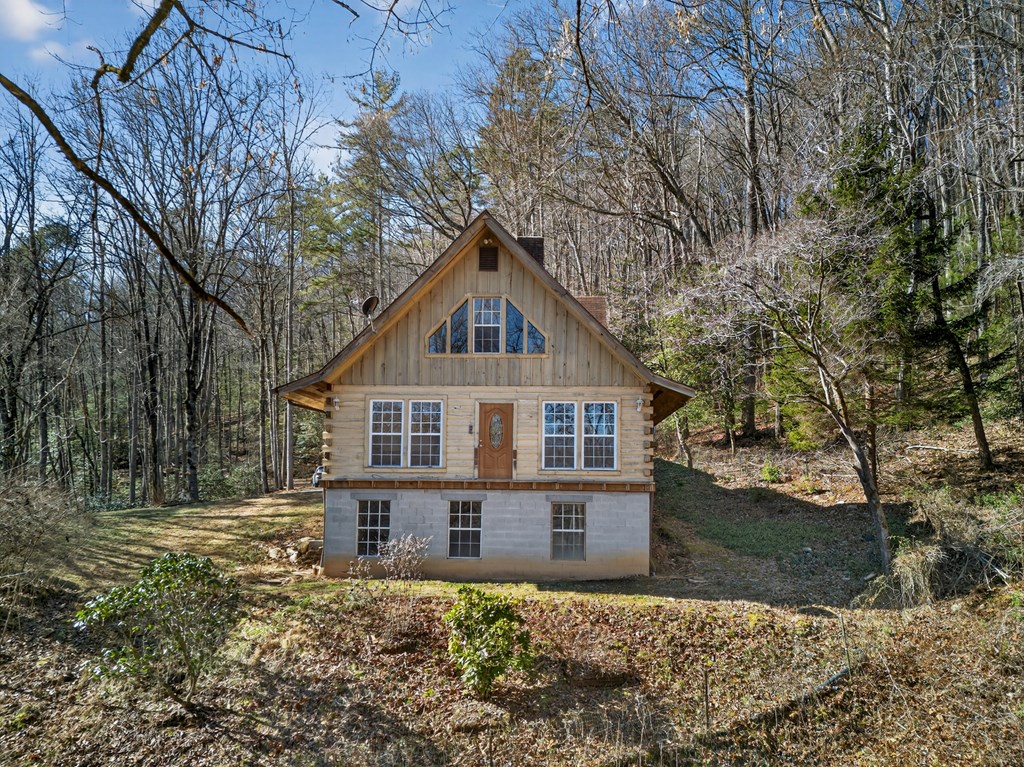 3437 Hanging Dog Road Murphy, NC 28906 - Photo 6 of 87 Gallery Image 6