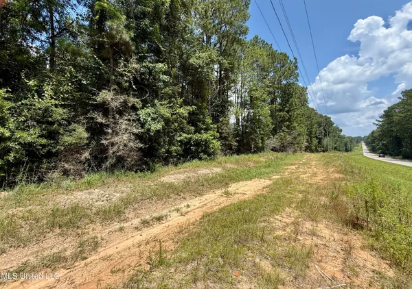 $114,000 | 10 Acres Mol Highway, Sumrall, MS 39482