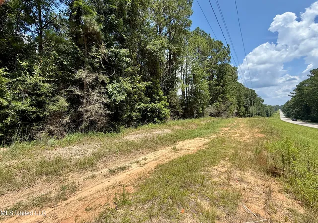 $114,000 | 10 Acres Mol Highway, Sumrall, MS 39482