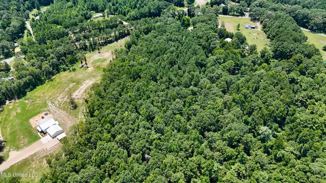 $114,000 | 10 Acres Mol Highway, Sumrall, MS 39482