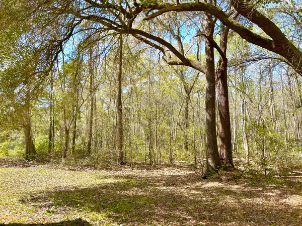 $3,500 | 2911 Maybry Drive, Johns Island, SC 29455