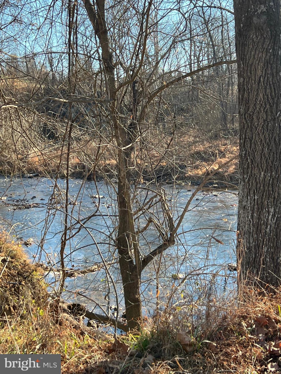 2834 East Boss Arnold Road Jefferson, MD 21755 - Photo 16 of 16 a view of a yard with a tree
