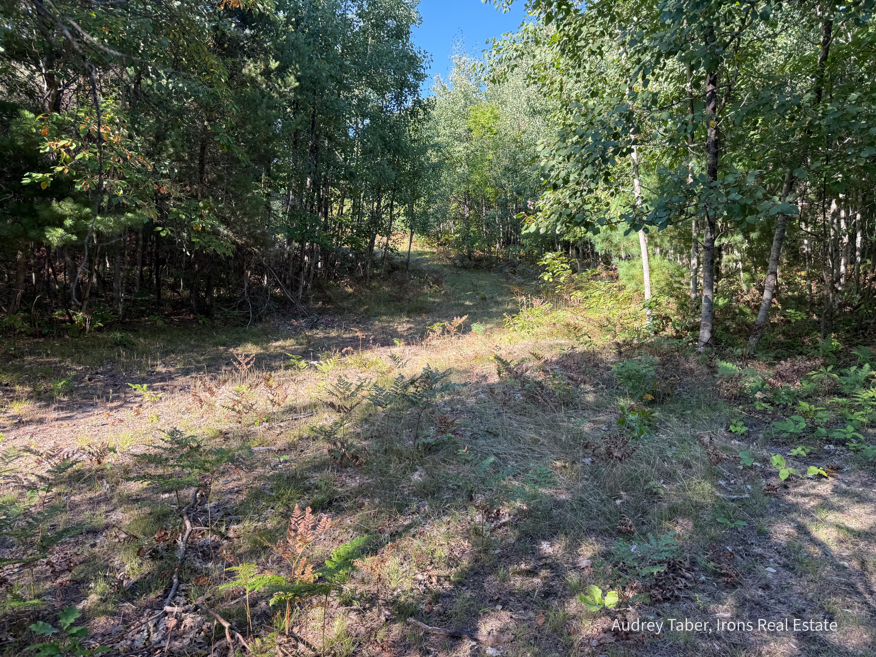 3 Clements Road Kaleva, MI 49645 - Photo 15 of 38 ClementsRd-144