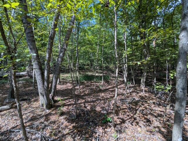 0 Marshall Road Appling, GA 30802 - Photo 4 of 4 8502546452541687963