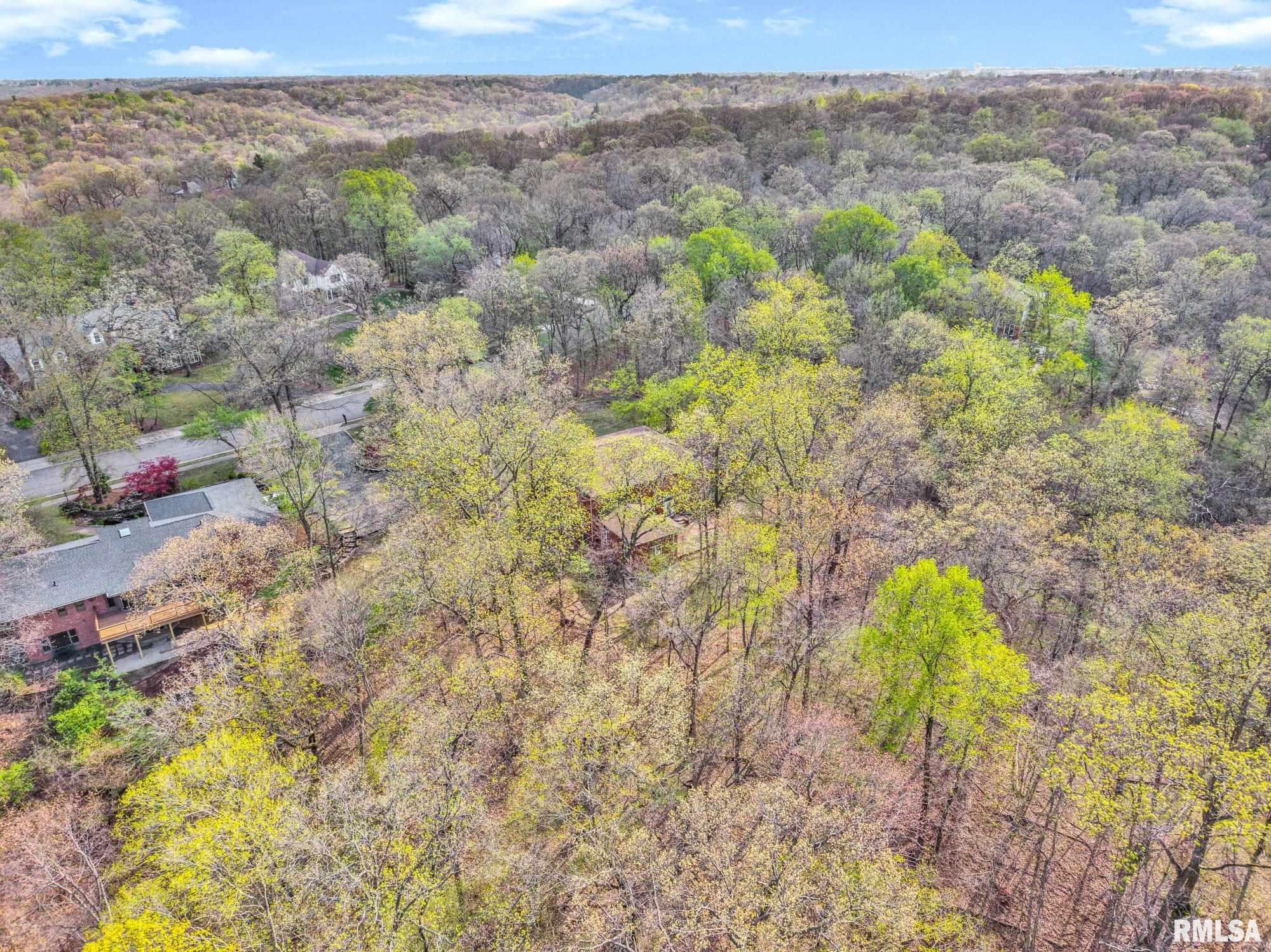 319 West Ravinwoods Road Peoria, IL 61615 - Photo 47 of 59