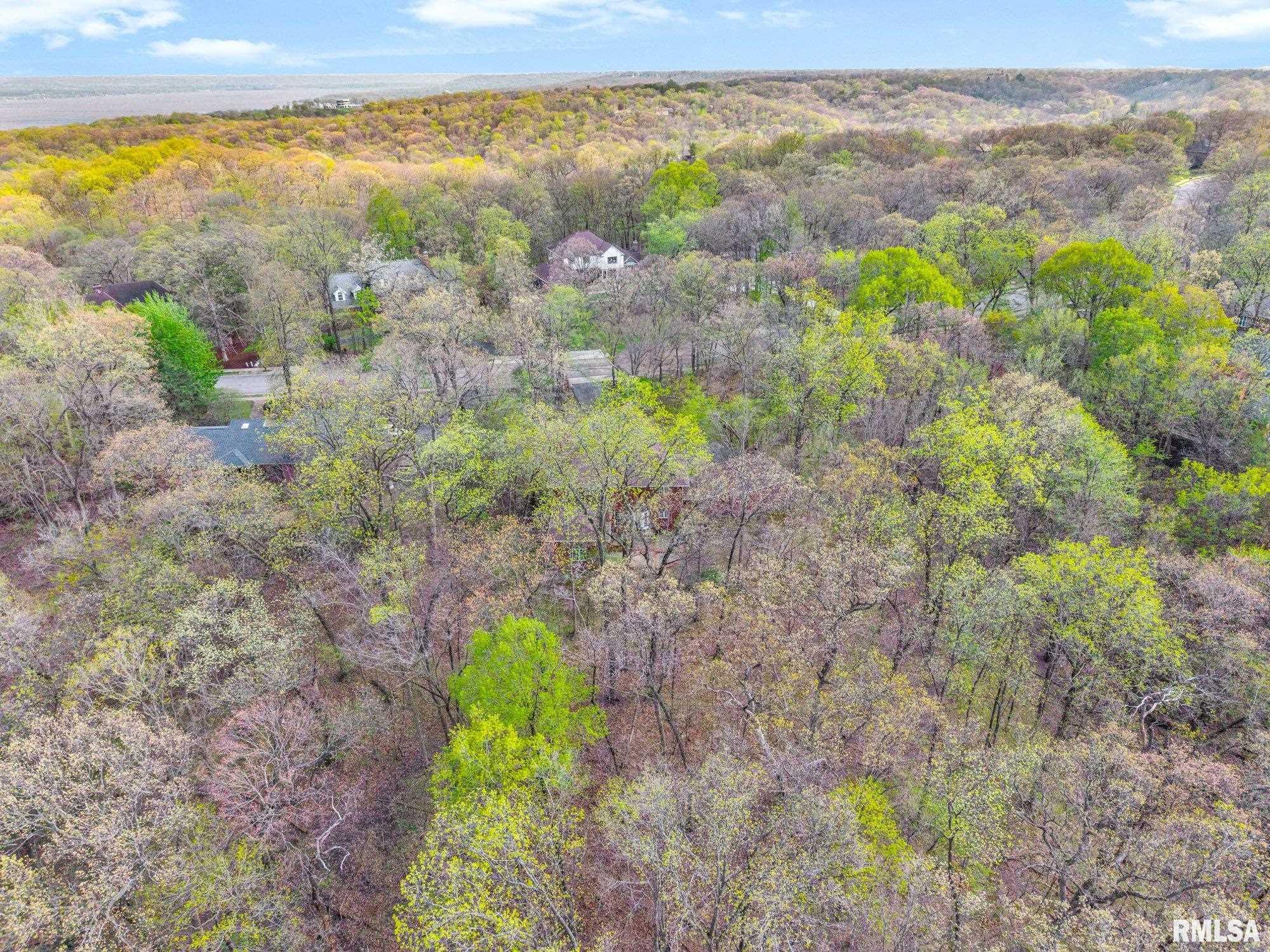 319 West Ravinwoods Road Peoria, IL 61615 - Photo 48 of 59