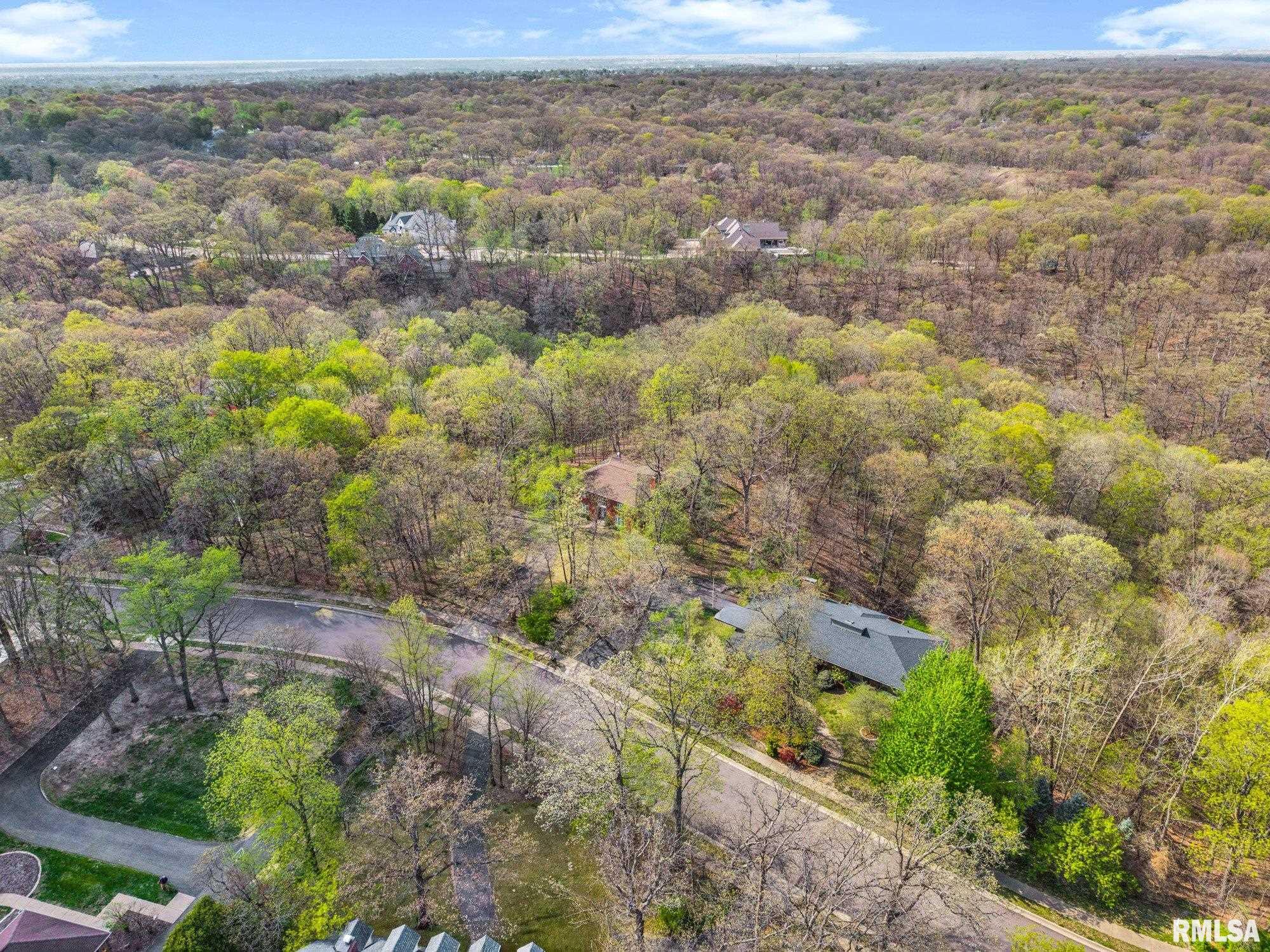 319 West Ravinwoods Road Peoria, IL 61615 - Photo 52 of 59