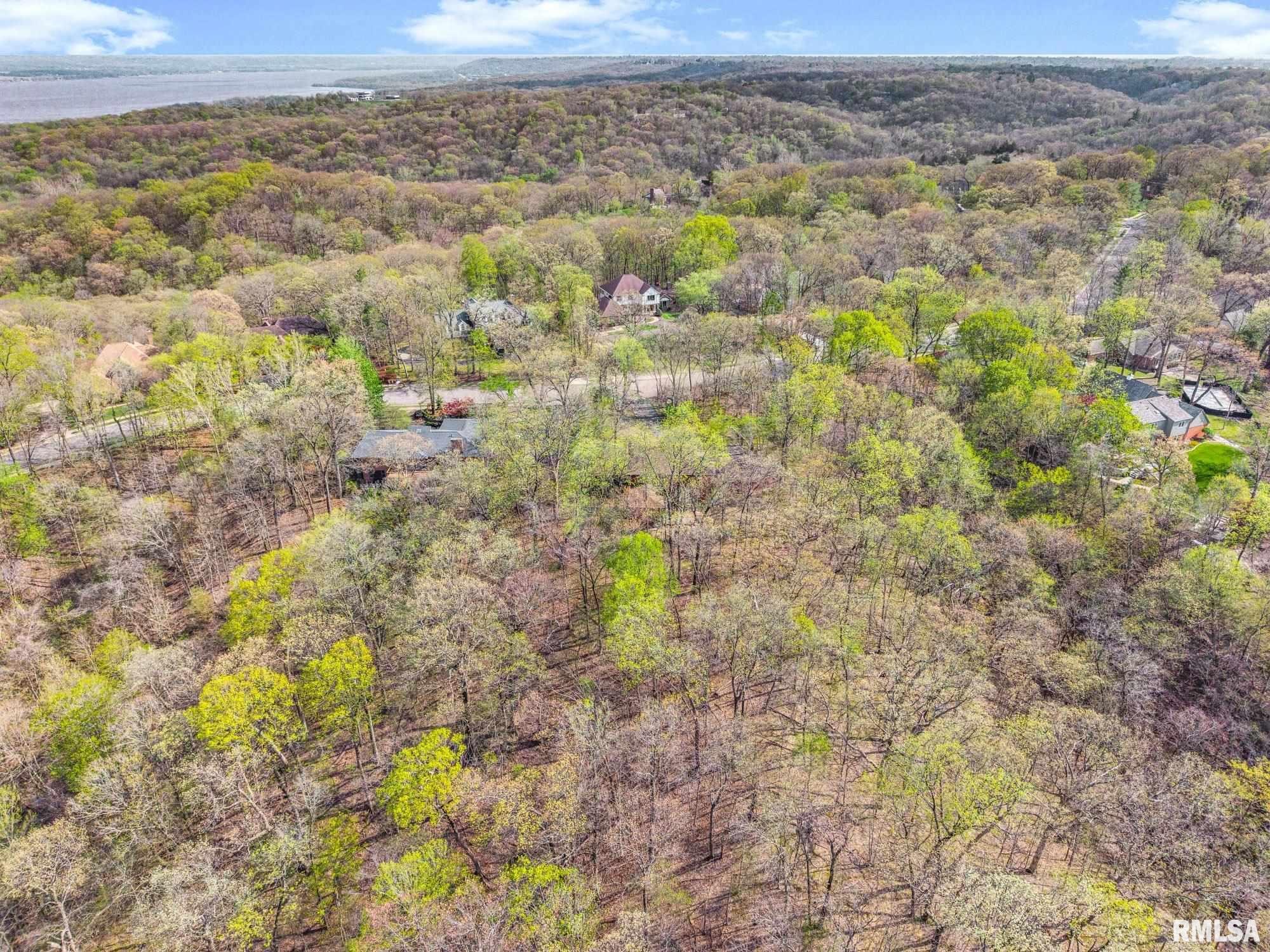 319 West Ravinwoods Road Peoria, IL 61615 - Photo 53 of 59