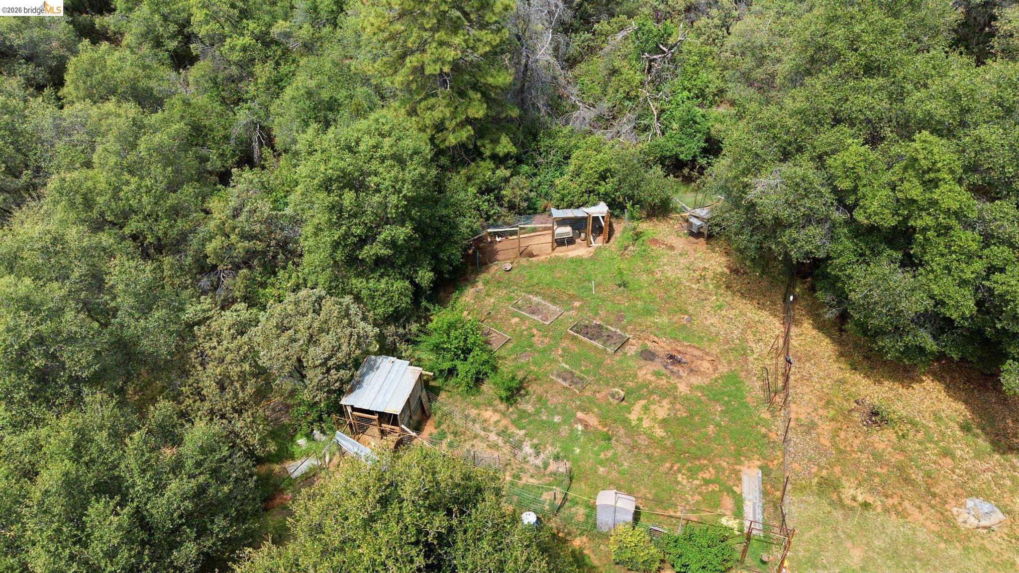 16860 Buckhorn Mountain Road Sonora, CA 95370 - Photo 43 of 46 Aerial view of a forest