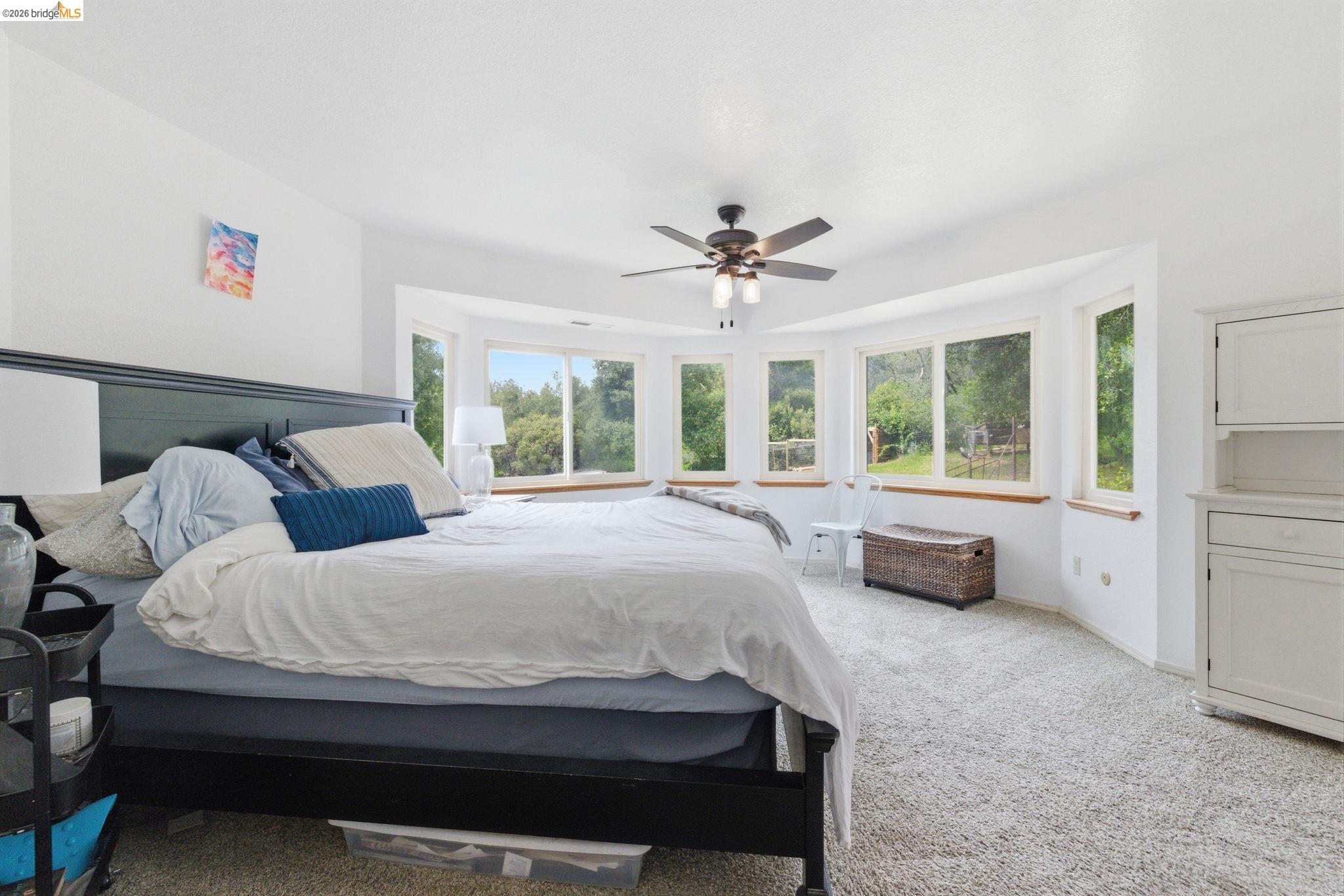 16860 Buckhorn Mountain Road Sonora, CA 95370 - Photo 6 of 46 Bedroom with light carpet and ceiling fan