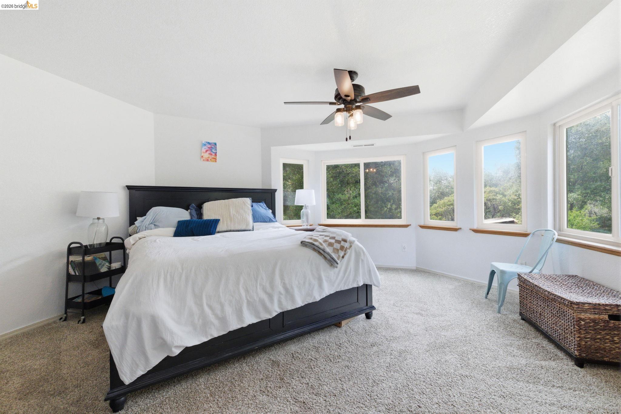 16860 Buckhorn Mountain Road Sonora, CA 95370 - Photo 7 of 46 Carpeted bedroom featuring a ceiling fan and baseboards