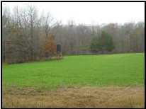 11 Emory Road Durant, MS 39063 - Photo 3 of 11 Photo 3