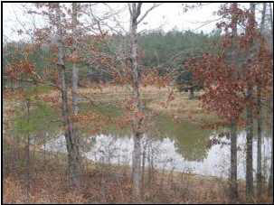 11 Emory Road Durant, MS 39063 - Photo 6 of 11 Photo 6