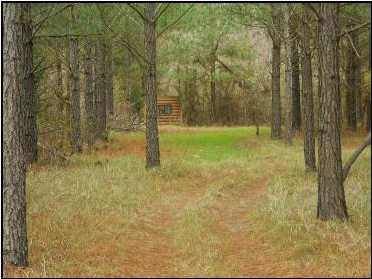 11 Emory Road Durant, MS 39063 - Photo 7 of 11 Photo 7