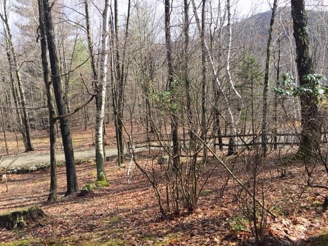 104 Tate Hill Road Sandgate, VT 05250 - Photo 2 of 9 Gallery Image 2