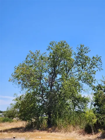 a view of a field with trees in the background