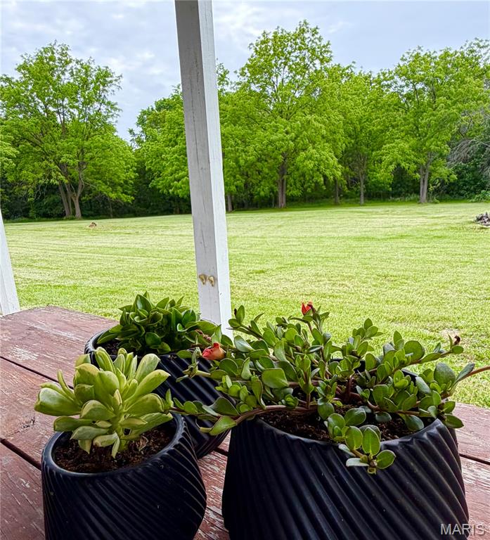 22731 Hayes Road Center, MO 63436 - Photo 7 of 22