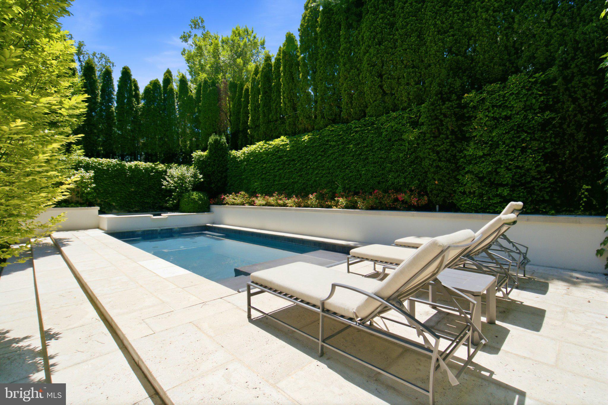 2109 Dunmore Lane Washington, DC 20007 - Photo 19 of 78 Serene oasis with a tranquil pool.