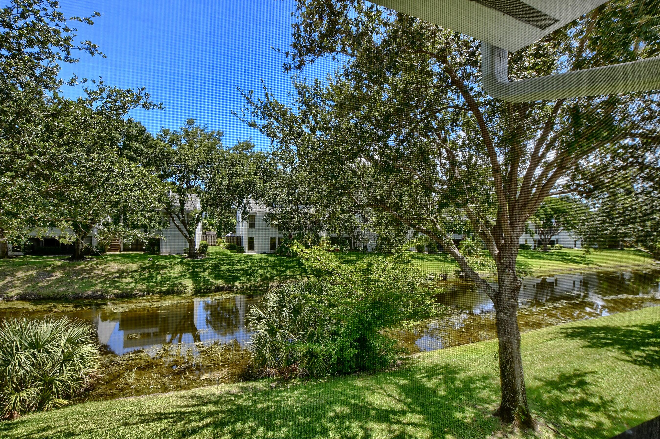 6237 Old Court Road, Unit 203 Boca Raton, FL 33433 - Photo 25 of 34 a view of a garden with plants