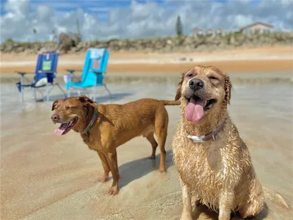 $345,500 | 200 Marina Bay Drive, Unit 201, Flagler Beach, FL 32136