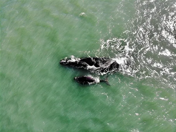 $289,000 | 200 Marina Bay Drive, Unit 201, Flagler Beach, FL 32136