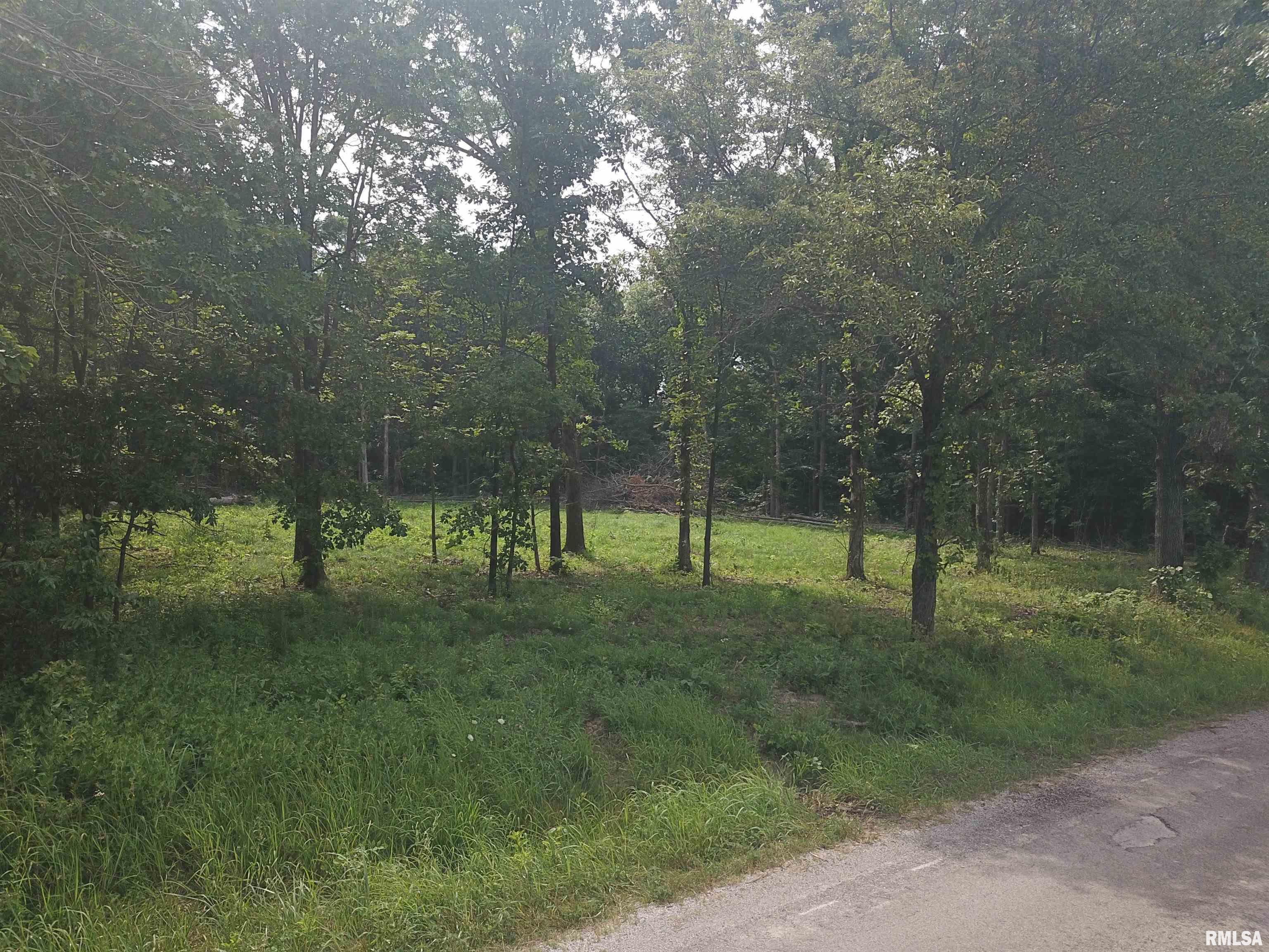 0 Beard Road Xenia, IL 62899 - Photo 14 of 24