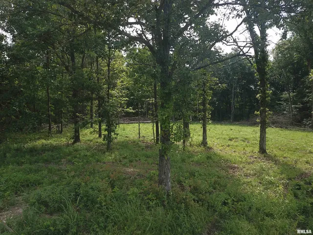 $74,900 | 0 Beard Road, Xenia, IL 62899