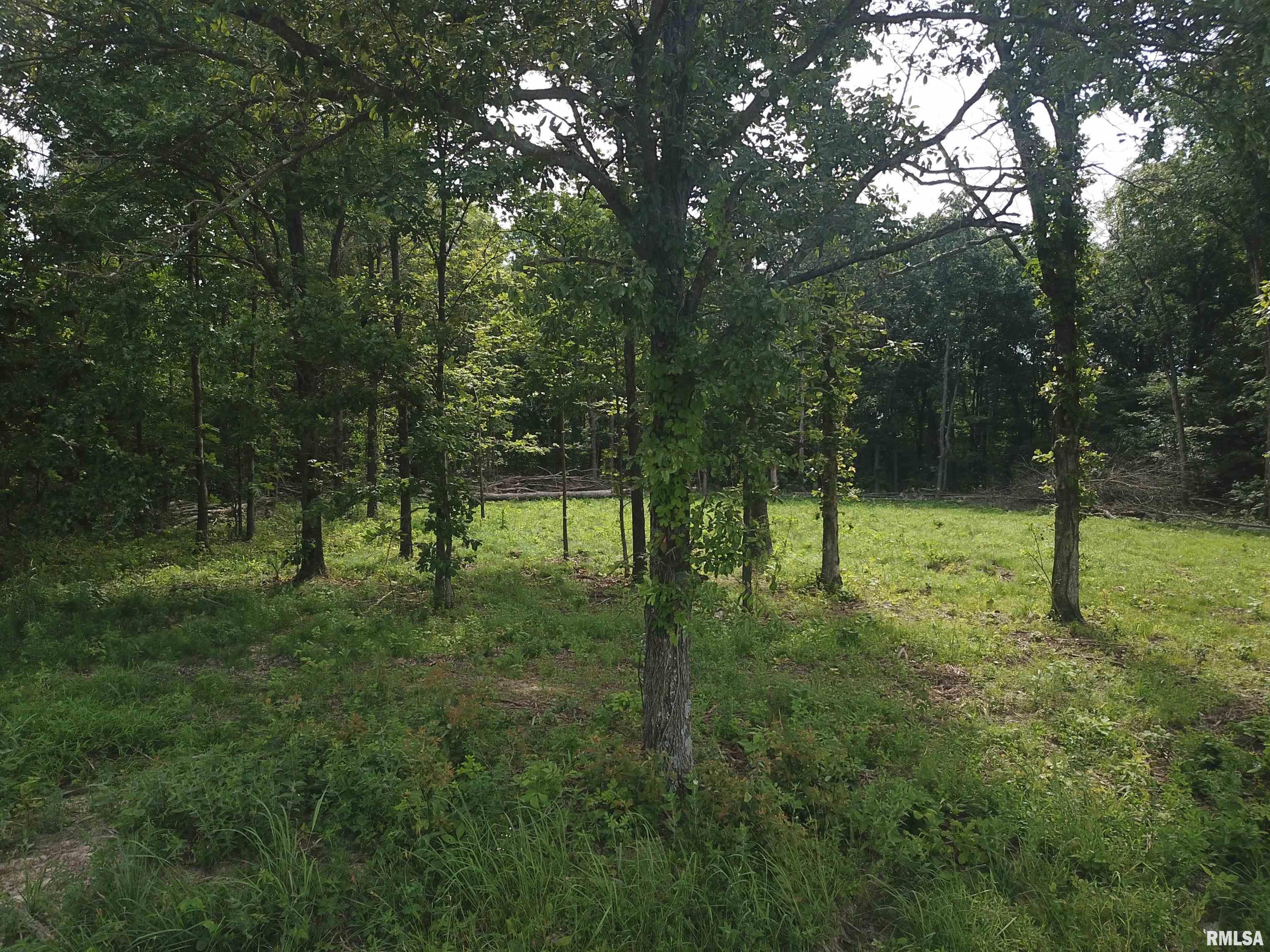 0 Beard Road Xenia, IL 62899 - Photo 15 of 24