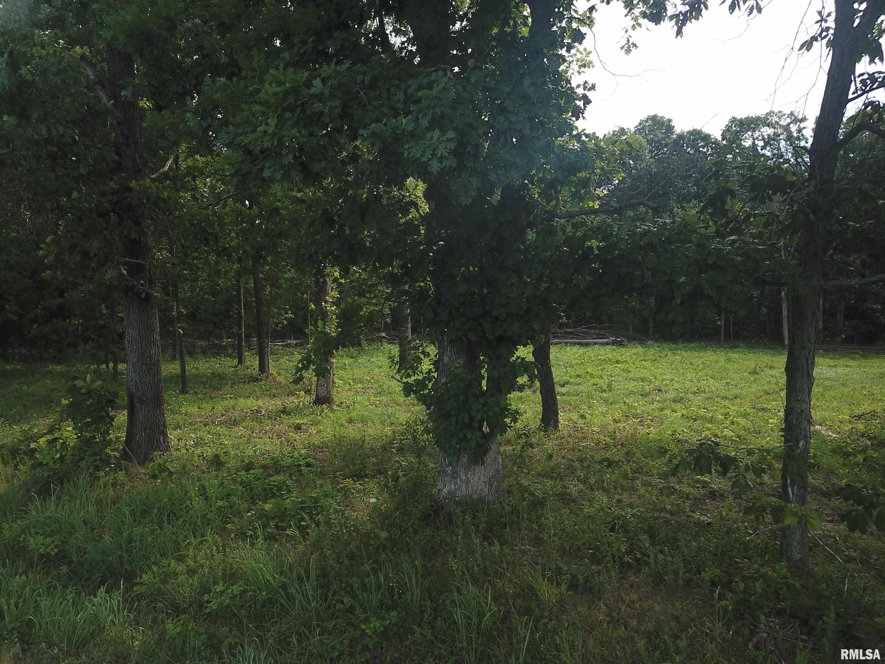 0 Beard Road Xenia, IL 62899 - Photo 16 of 24