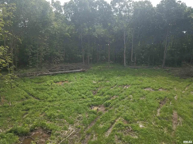 $74,900 | 0 Beard Road, Xenia, IL 62899