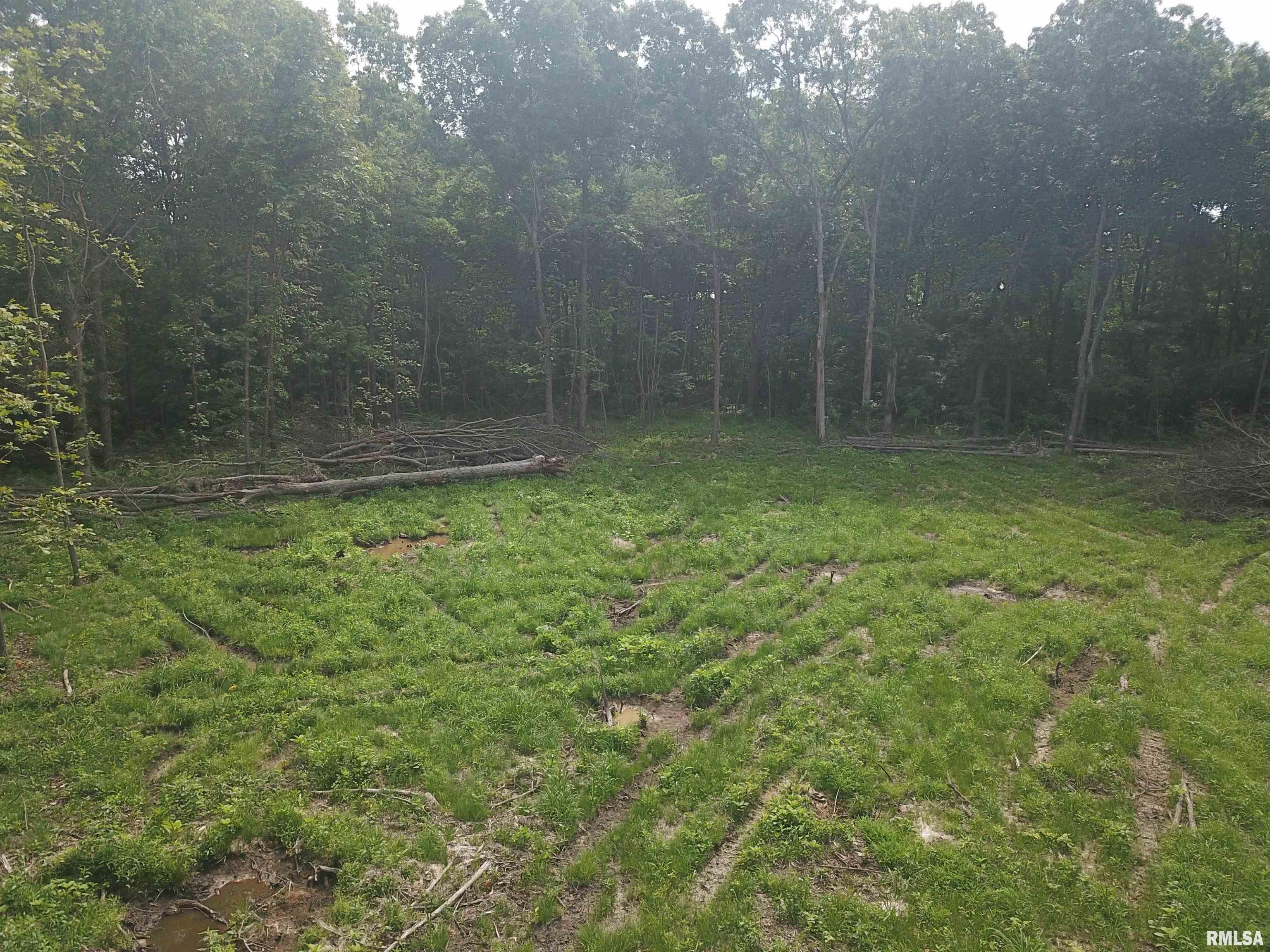 0 Beard Road Xenia, IL 62899 - Photo 17 of 24