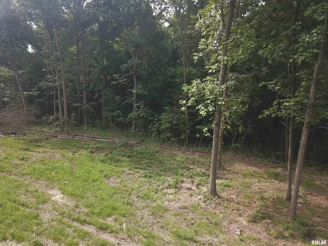 $74,900 | 0 Beard Road, Xenia, IL 62899