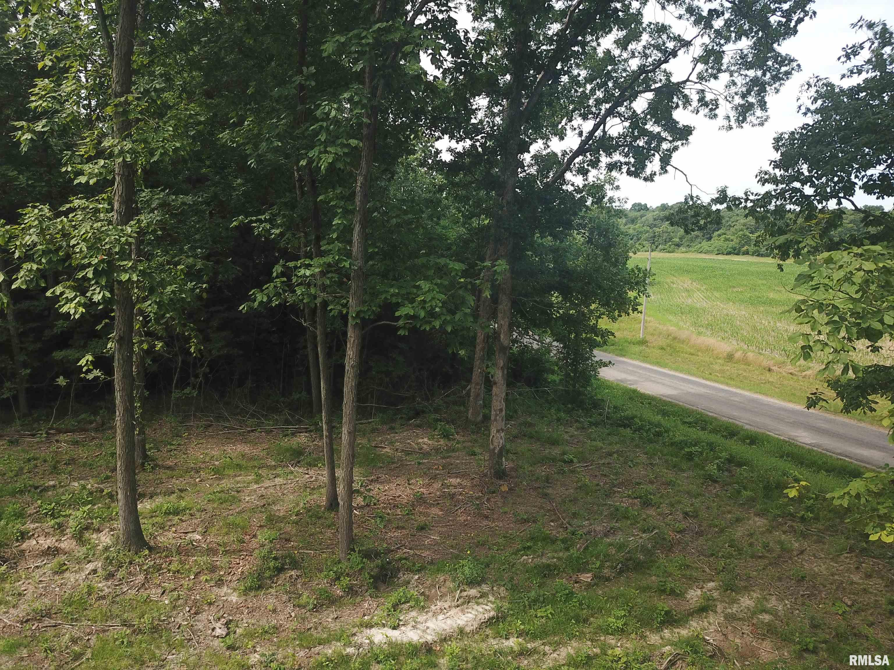 0 Beard Road Xenia, IL 62899 - Photo 19 of 24