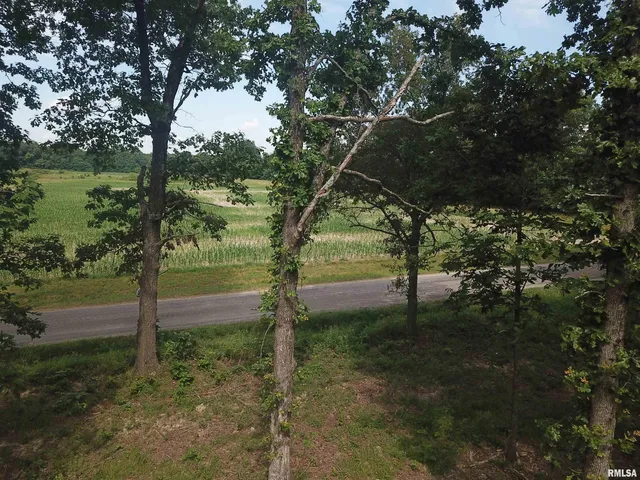 $74,900 | 0 Beard Road, Xenia, IL 62899