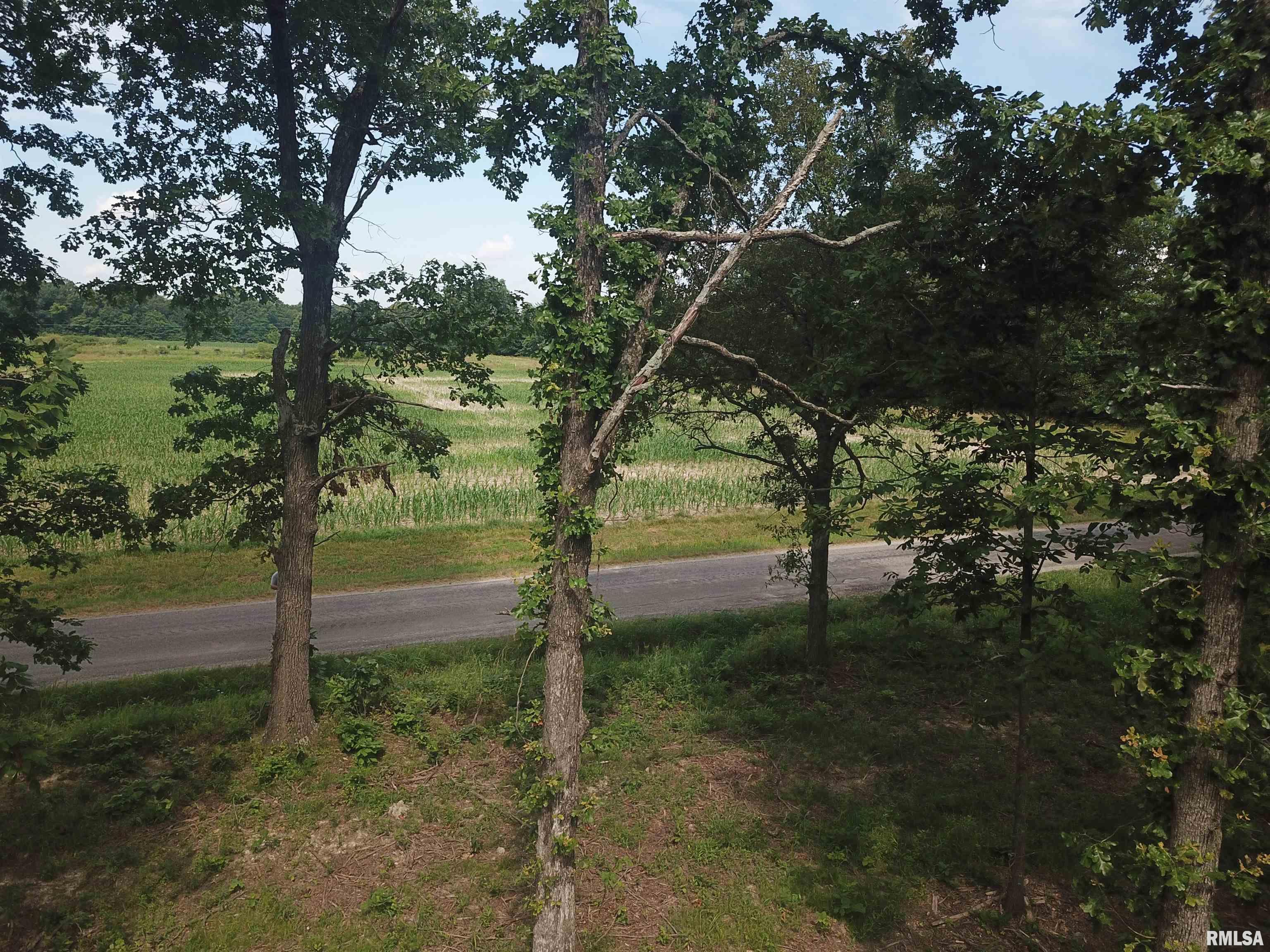 0 Beard Road Xenia, IL 62899 - Photo 21 of 24