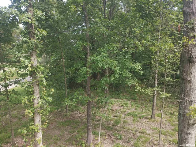 $74,900 | 0 Beard Road, Xenia, IL 62899