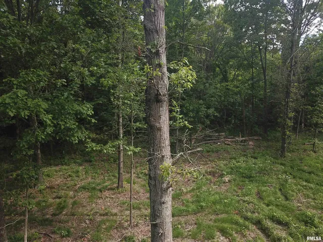 $74,900 | 0 Beard Road, Xenia, IL 62899