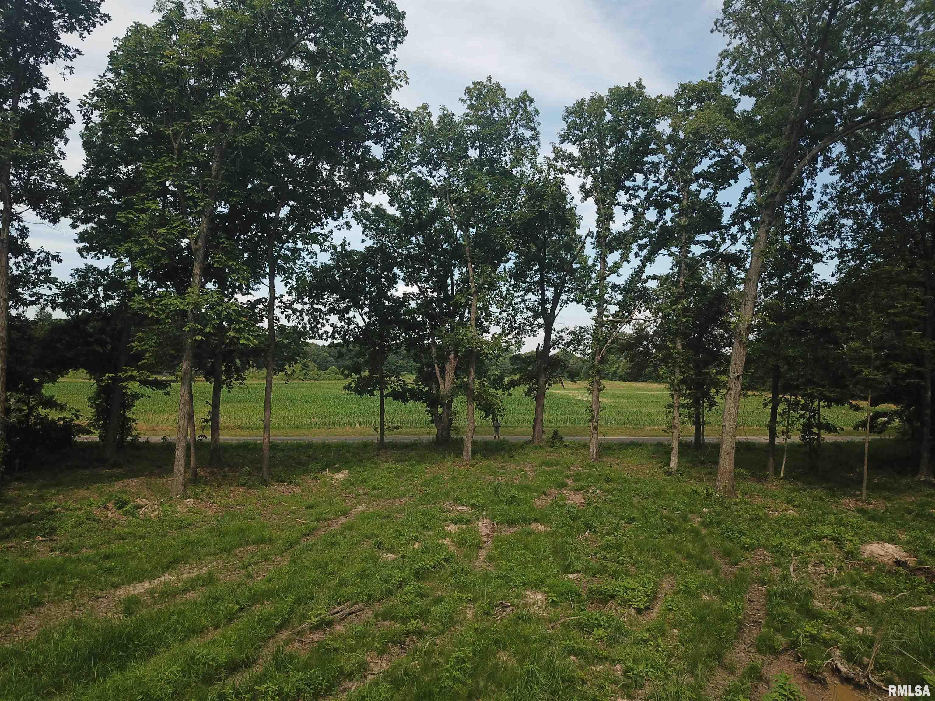 0 Beard Road Xenia, IL 62899 - Photo 24 of 24