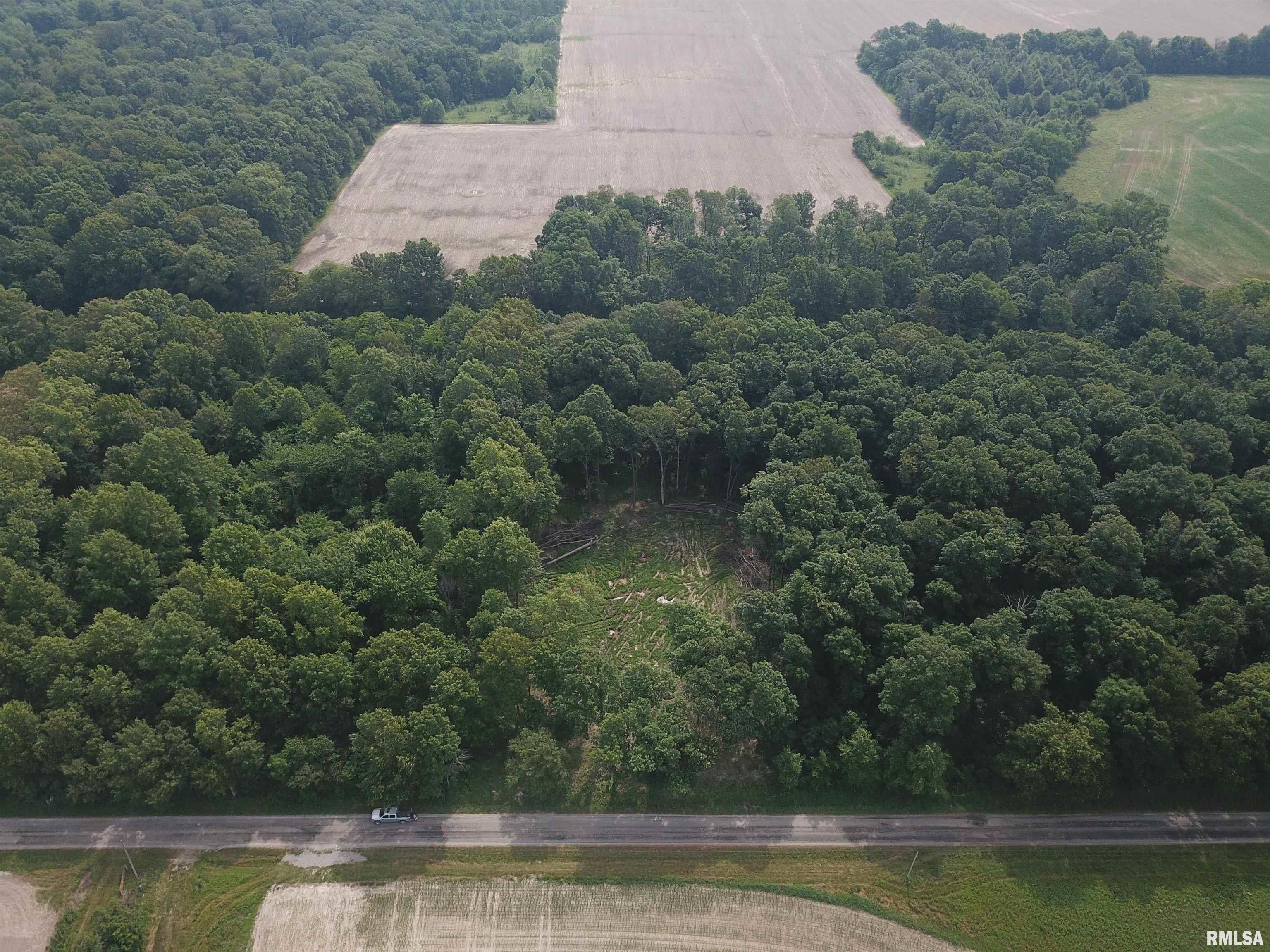 0 Beard Road Xenia, IL 62899 - Photo 3 of 24