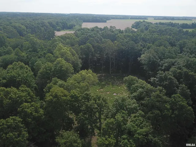 $74,900 | 0 Beard Road, Xenia, IL 62899