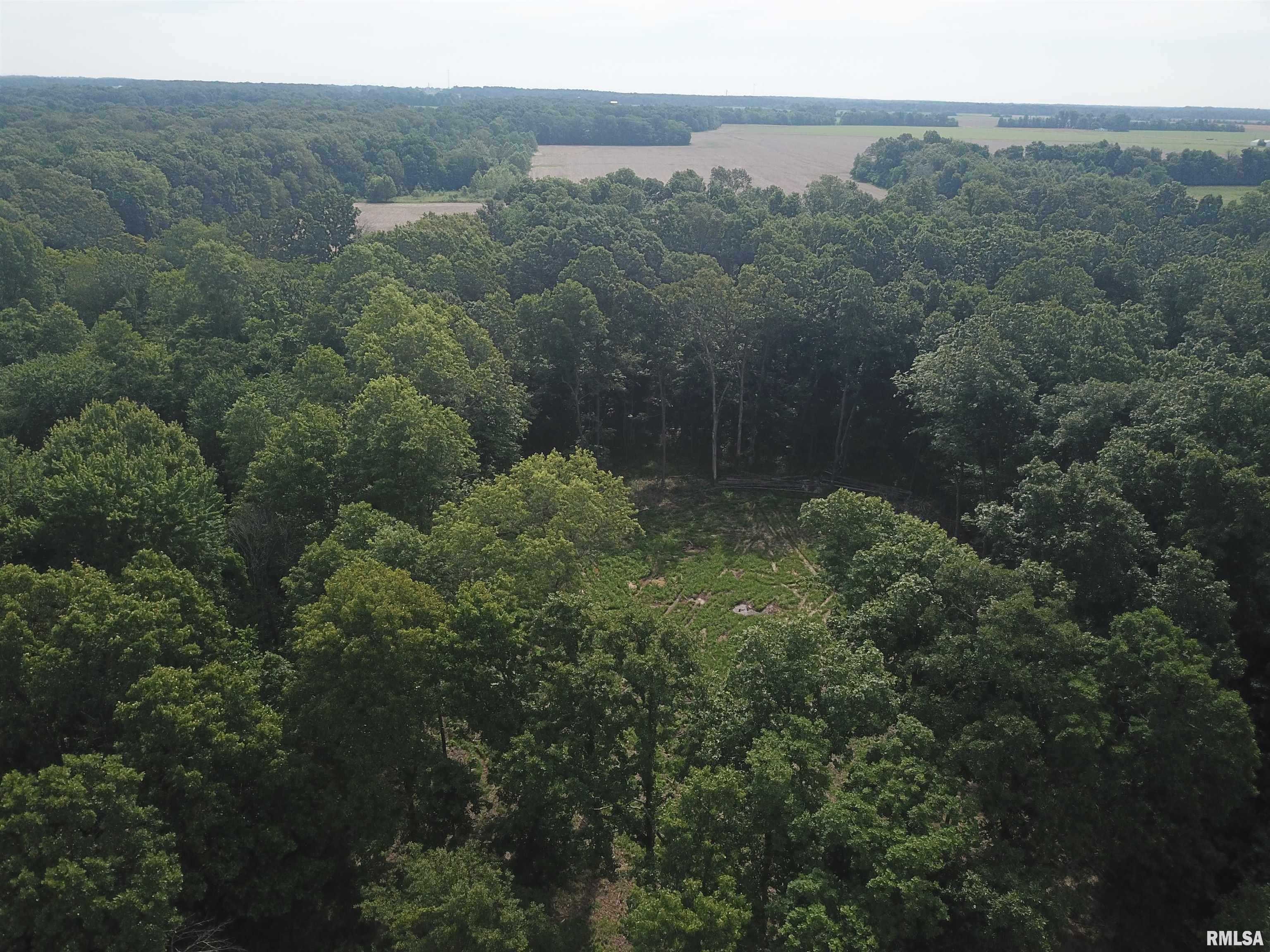 0 Beard Road Xenia, IL 62899 - Photo 4 of 24