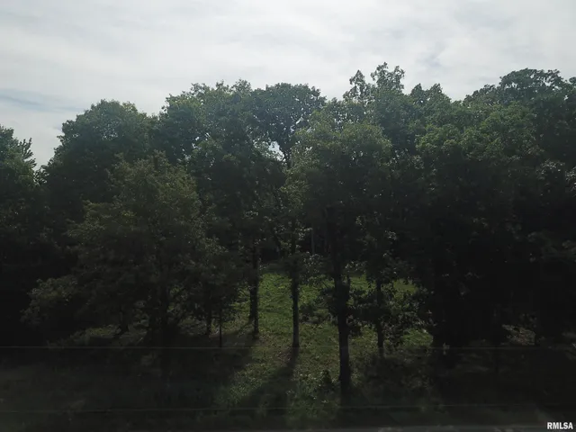 $74,900 | 0 Beard Road, Xenia, IL 62899