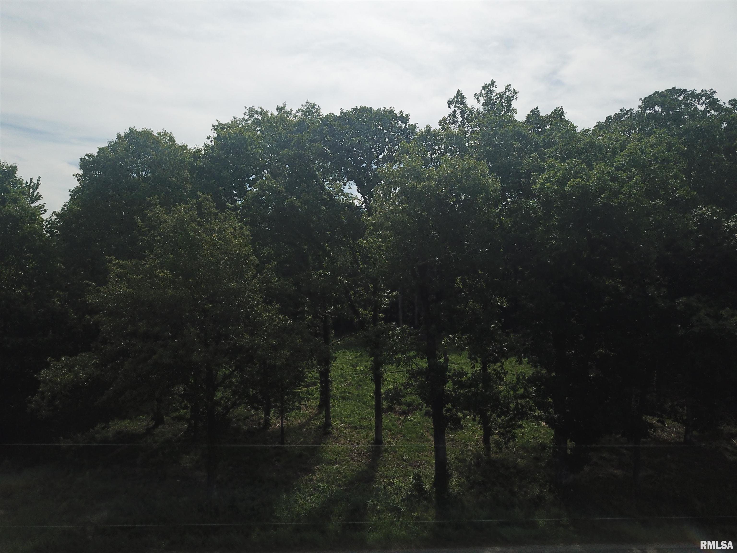 0 Beard Road Xenia, IL 62899 - Photo 5 of 24