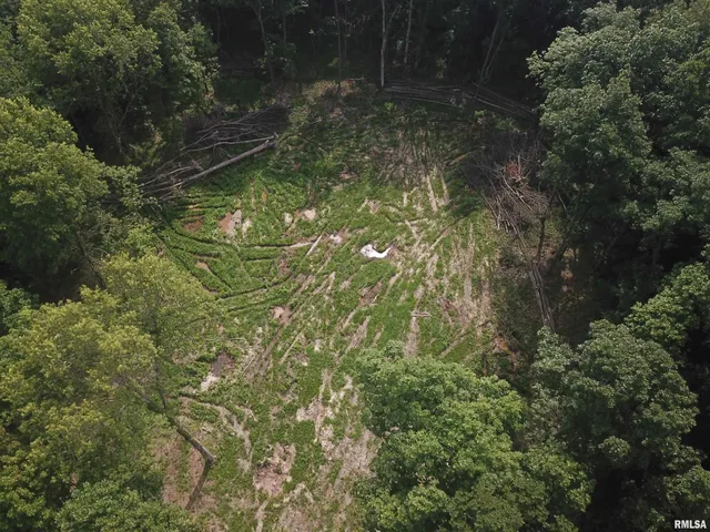 $74,900 | 0 Beard Road, Xenia, IL 62899