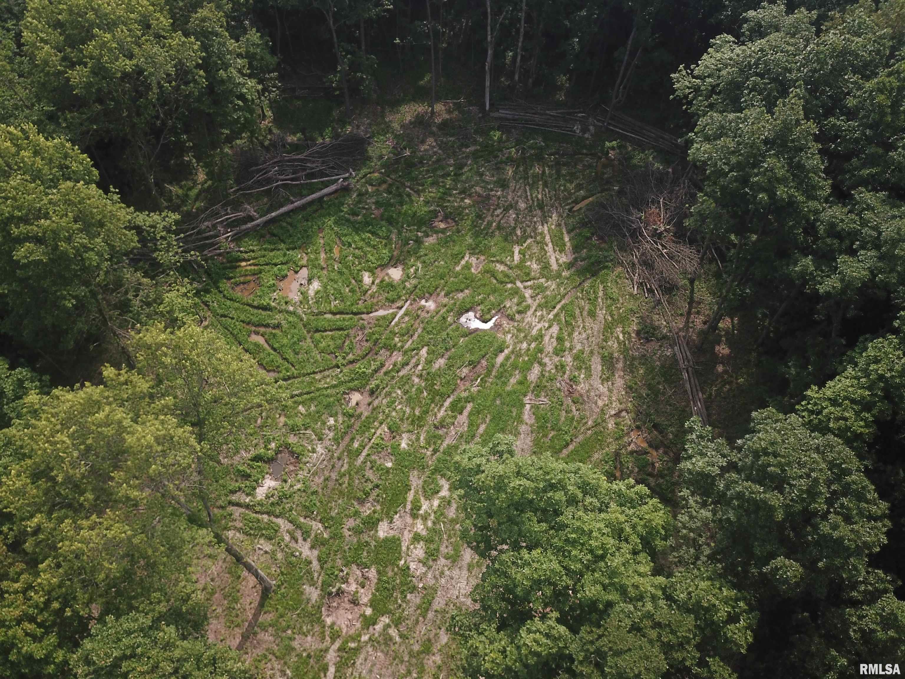 0 Beard Road Xenia, IL 62899 - Photo 6 of 24