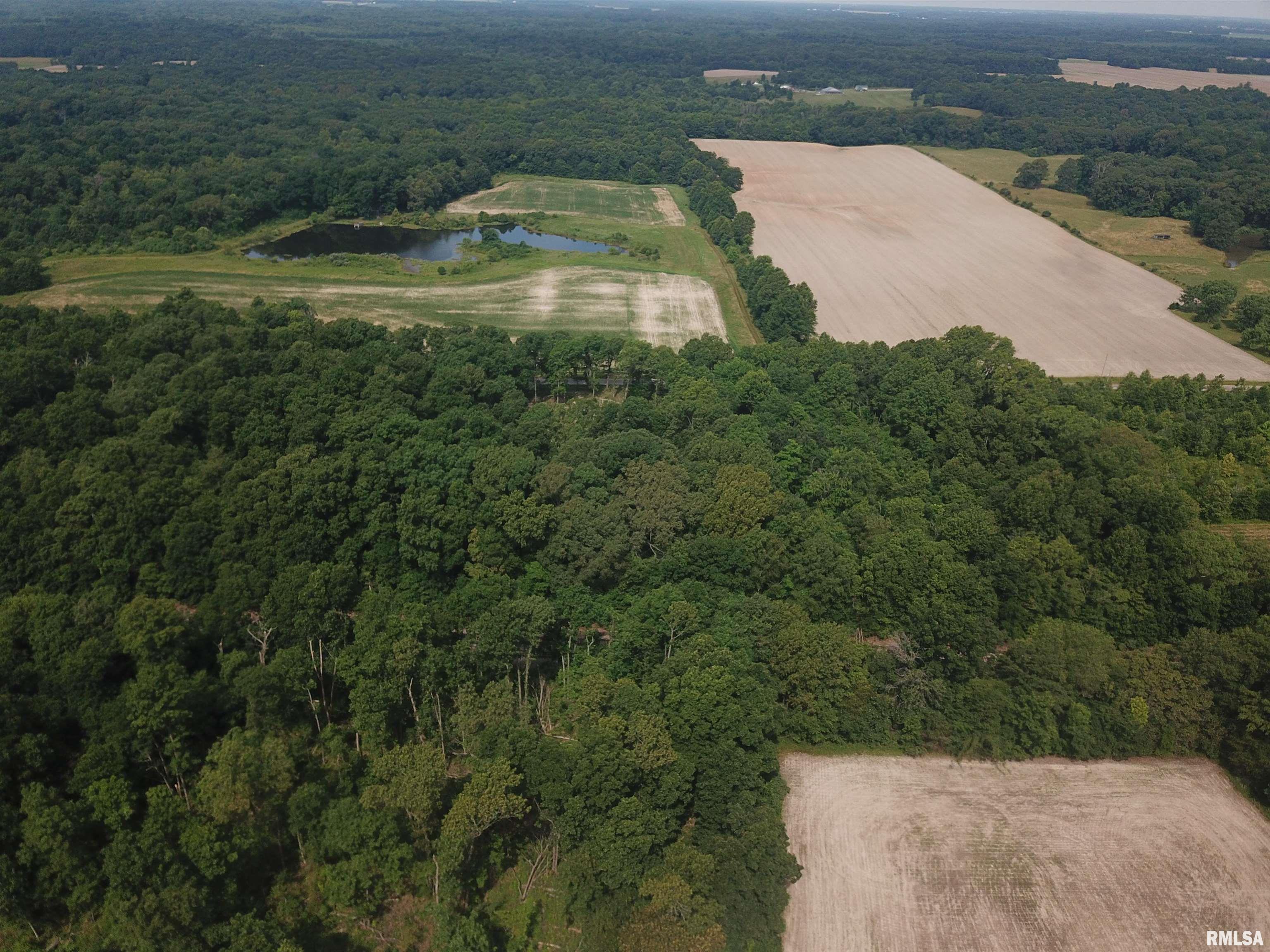 0 Beard Road Xenia, IL 62899 - Photo 8 of 24