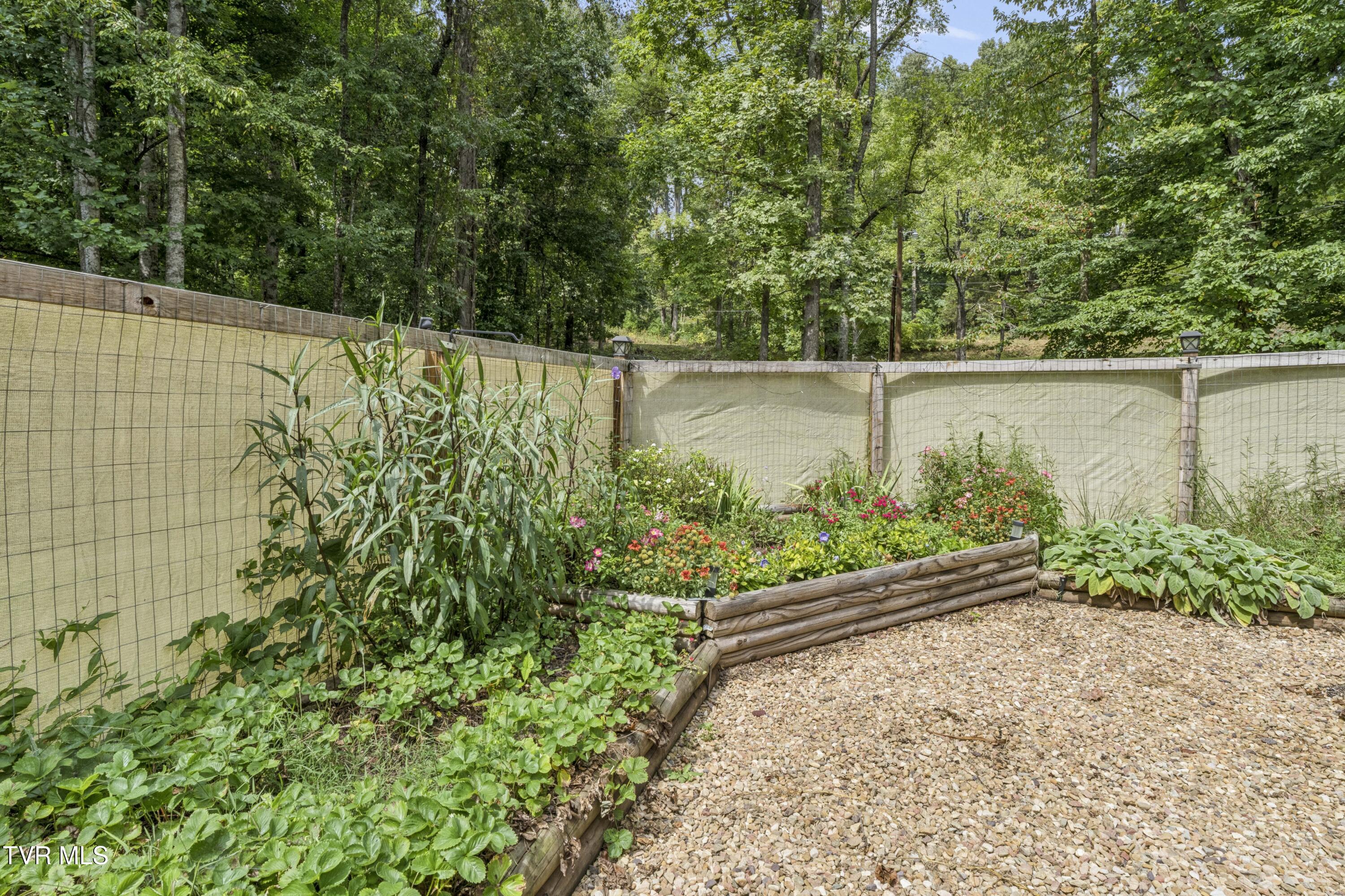 512 Dalewood Road Johnson City, TN 37601 - Photo 57 of 71 Dalewood-45