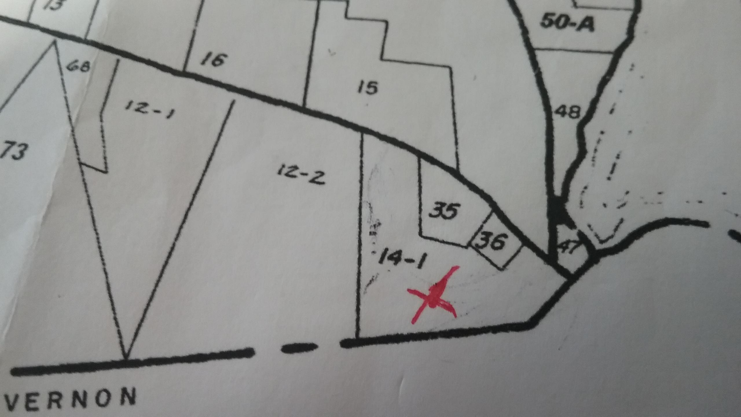 LSimmonsMapPhoto2019