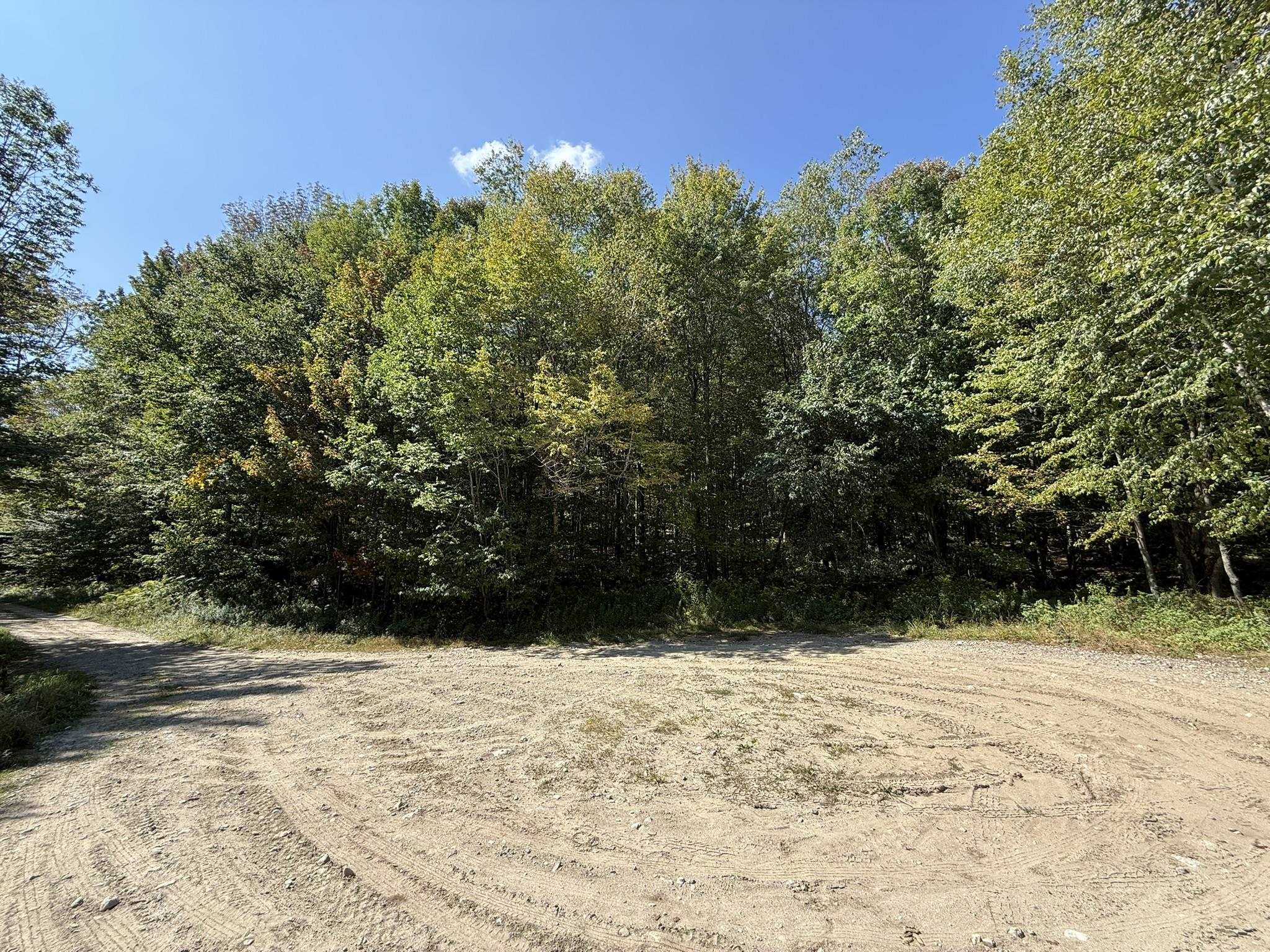 16 Schenk Road, Unit LOT #16 Stamford, VT 05352 - Photo 1 of 13 Gallery Image 1