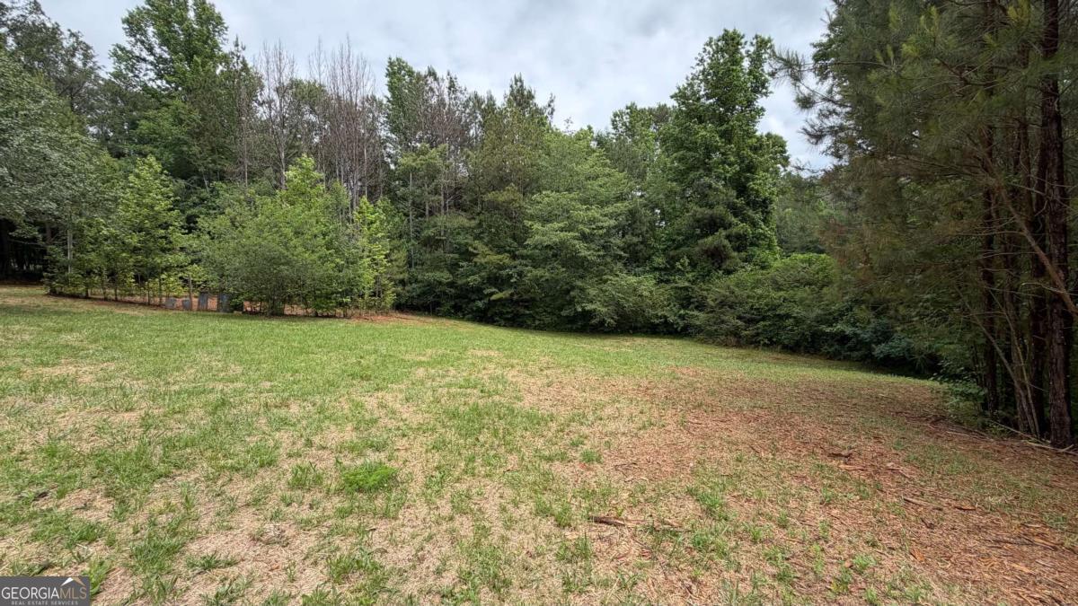 1646 Sandy Flat Road Bowdon, GA 30108 - Photo 41 of 46